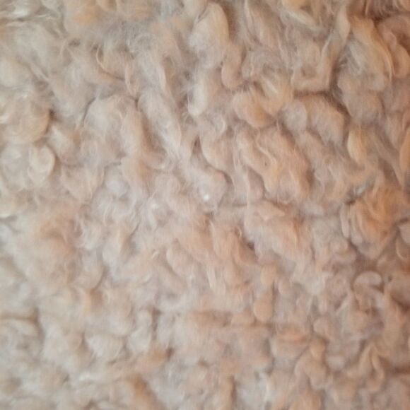 BEIGE FUZZY VEST FROM LORD & TAYLOR - Picture 5 of 6